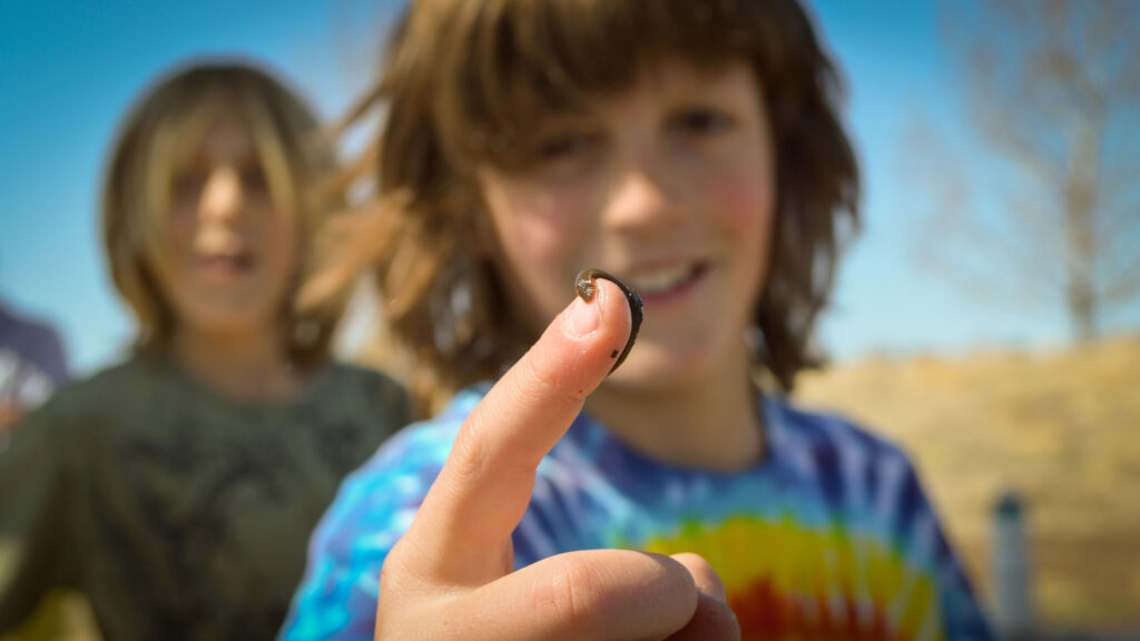 A SPREE Summer Camper shows off a bug on their finger.