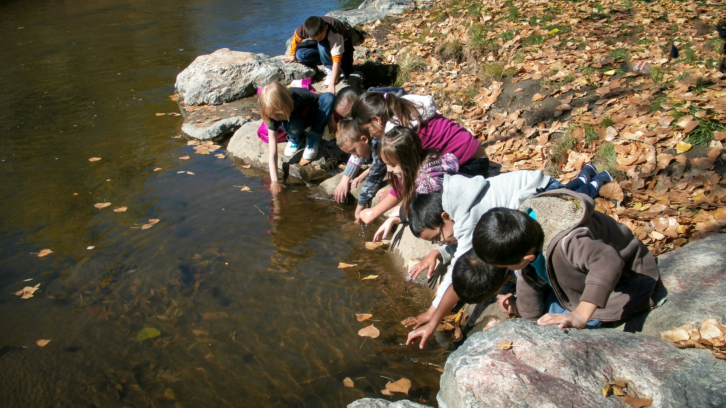 SPREE Students touch the South Platte River on a field trip.