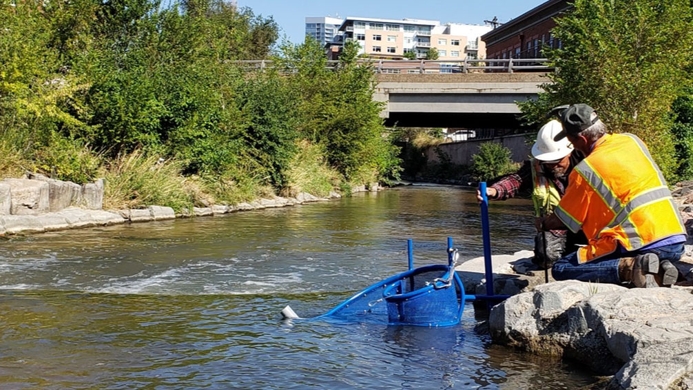 The Greenway Foundation installs the Nautilus Passive Trash Collection device along the Cherry Creek