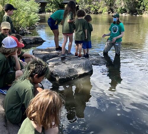 fish release with campers and Tori at the River