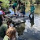 fish release with campers and Tori at the River