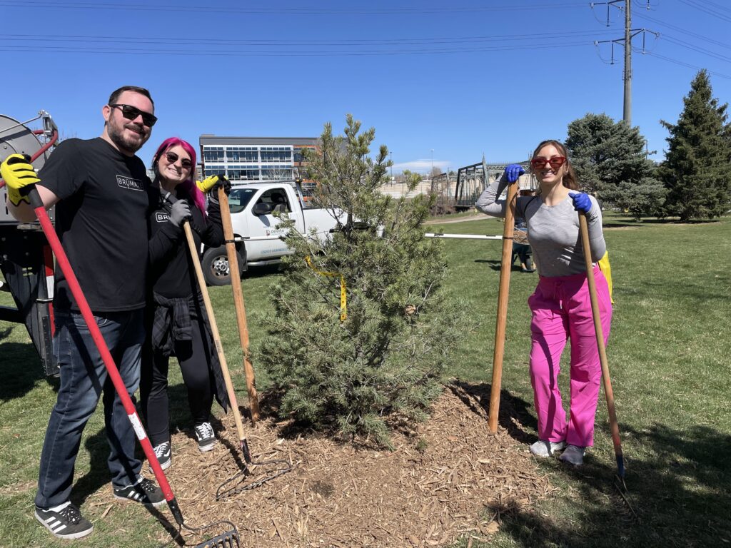 Three volunteers with rakes, two women, one man, wearing work gloves and black shirts, pose in front of an evergreen tree they planted in the park. 