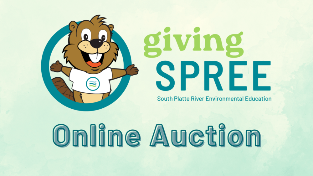 givingSPREE online auction