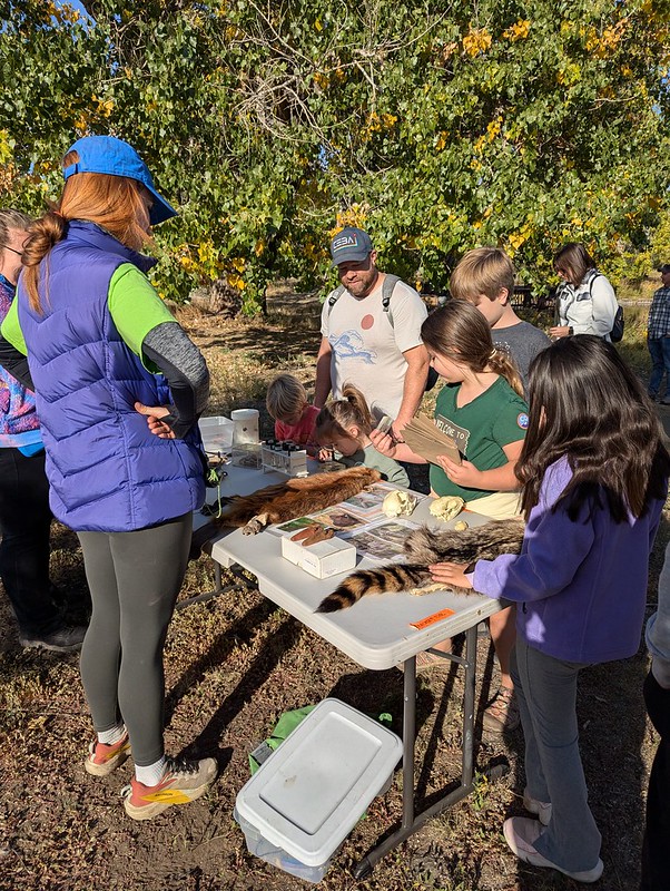 Family Fishing Day 2024 nature touch table group