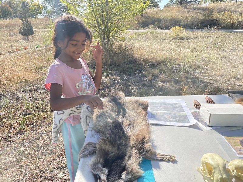 Family Fishing Day 2024 raccoon pelt