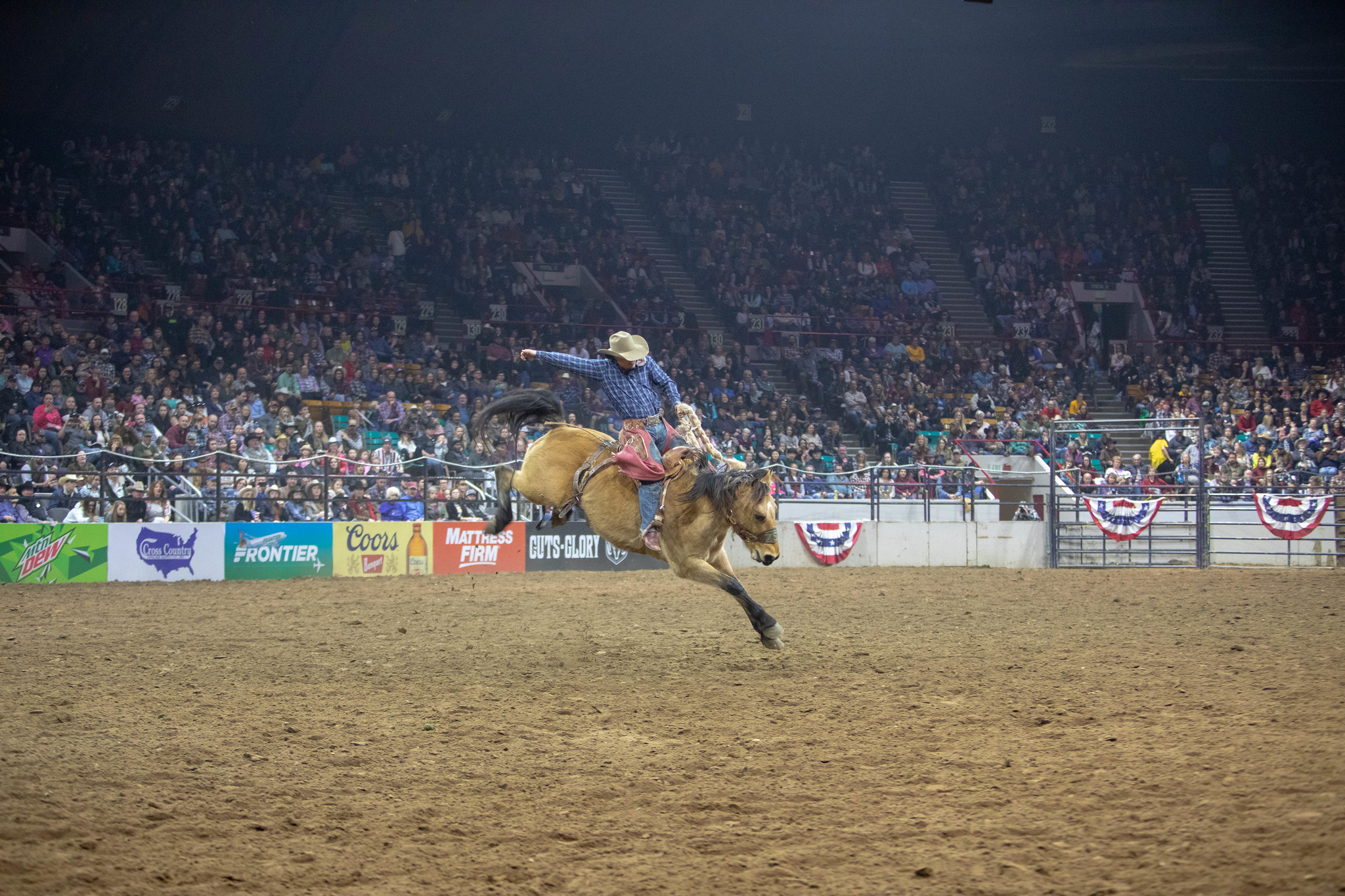 rodeo stock show