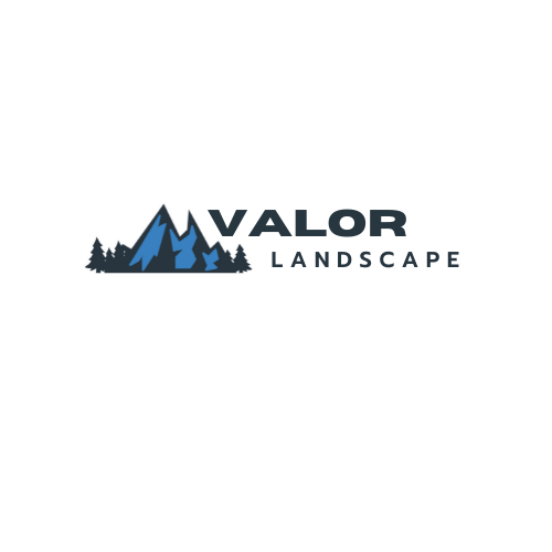 Valor Landscape